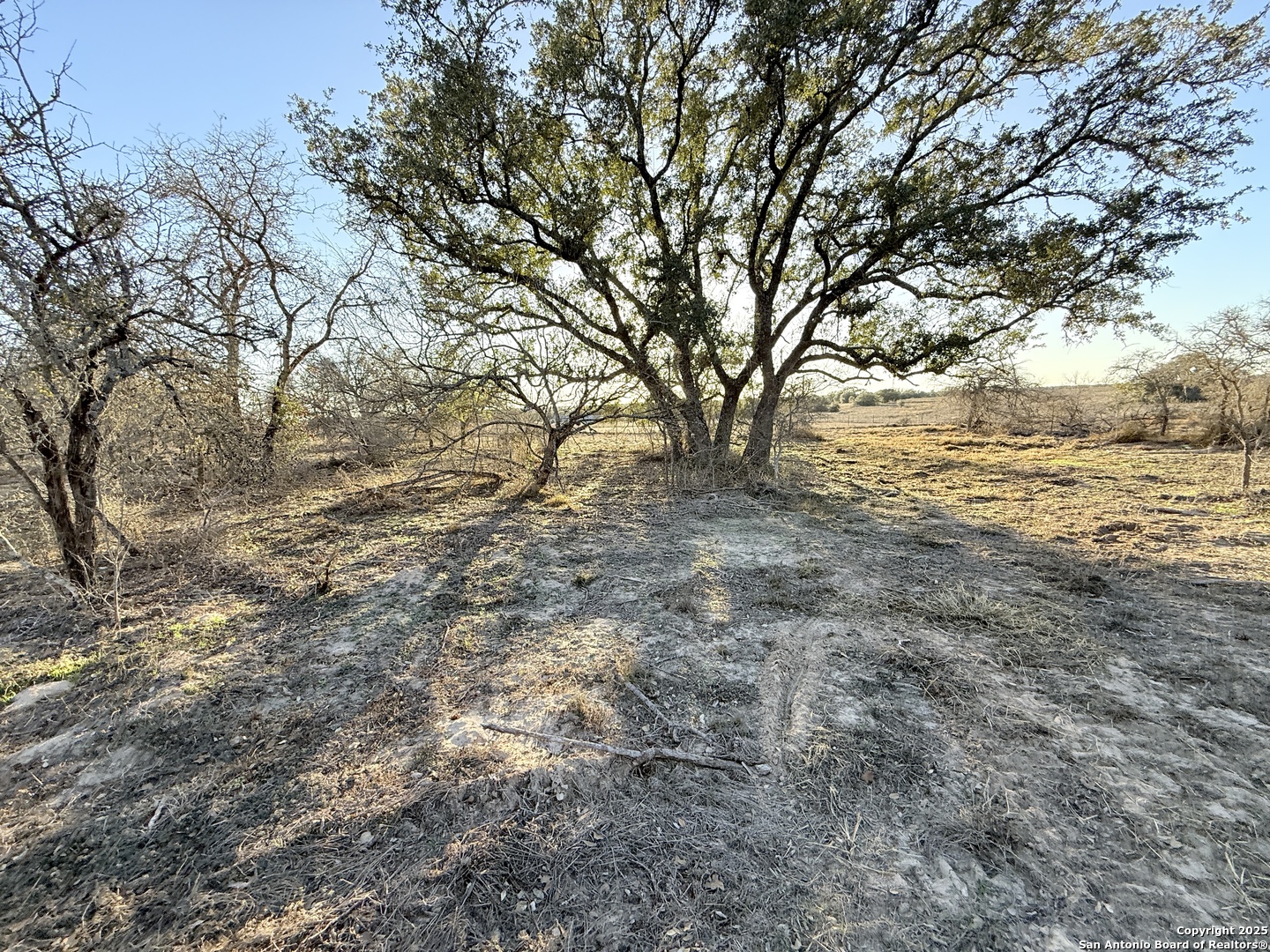 165 Sanctuary Lane (Tract 3)