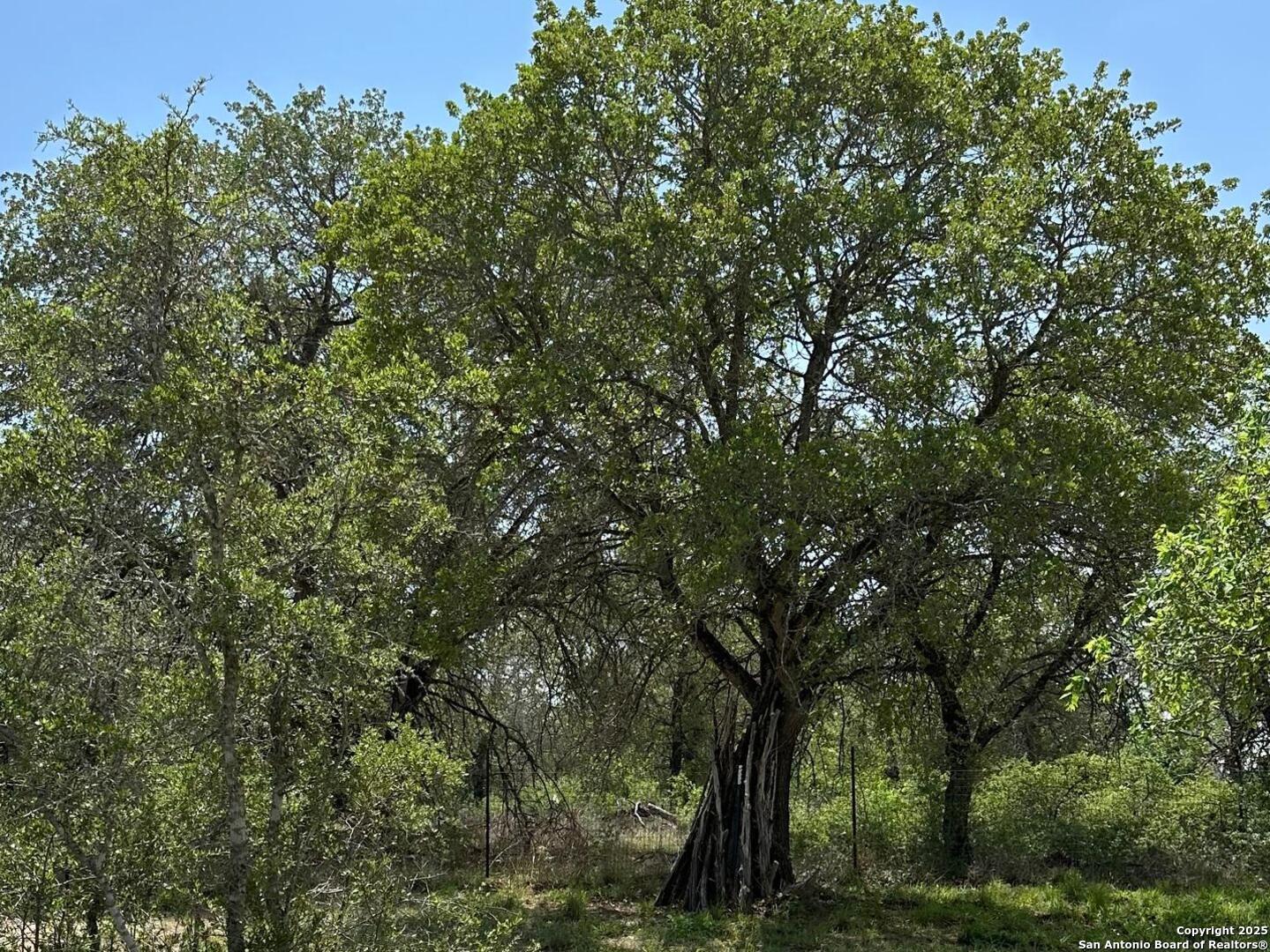 165 Sanctuary Lane (Tract 3)