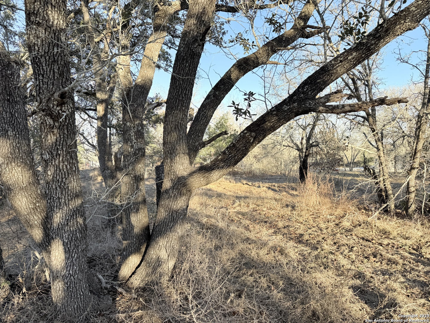 165 Sanctuary Lane (Tract 3)