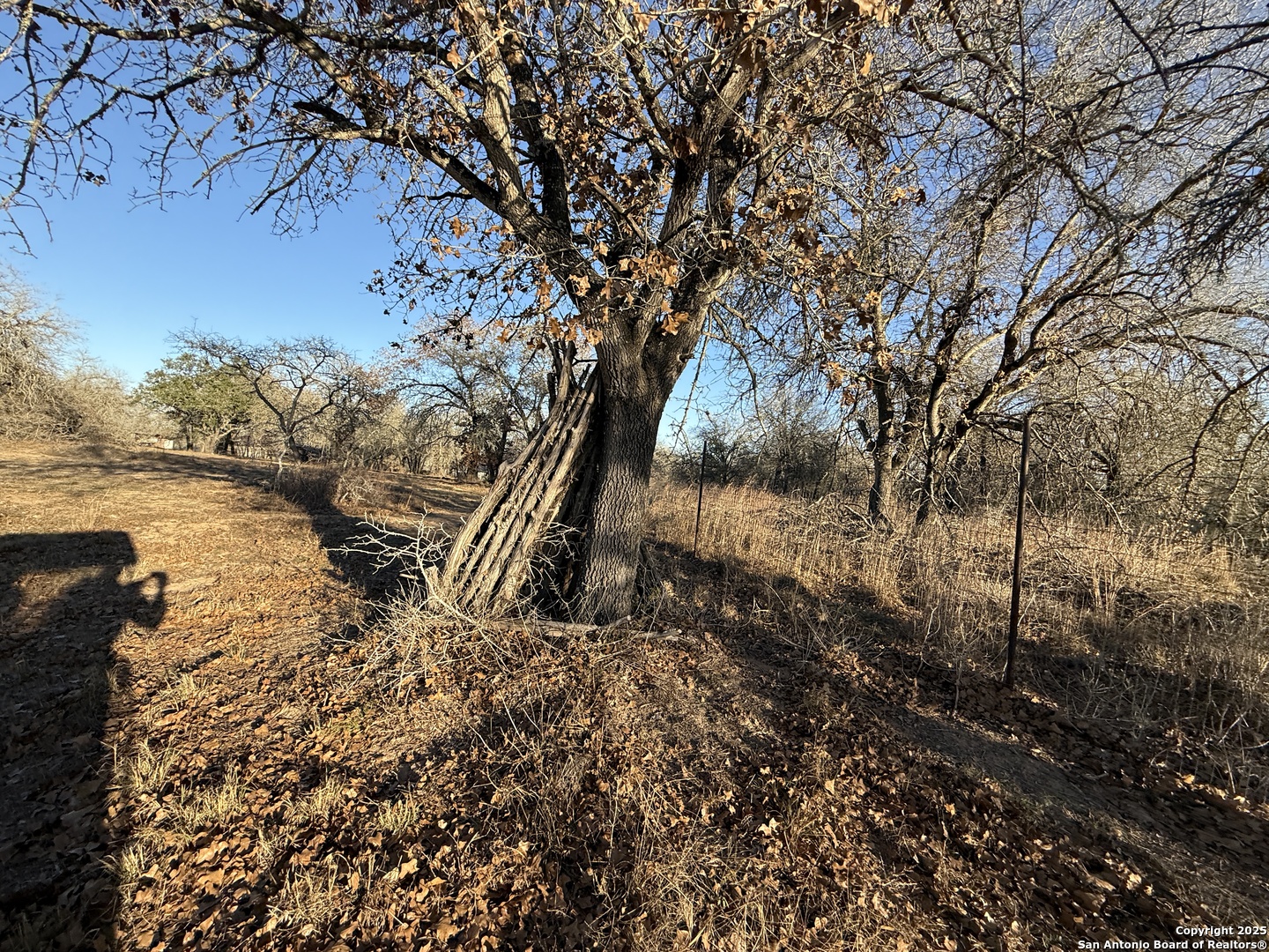 165 Sanctuary Lane (Tract 3)
