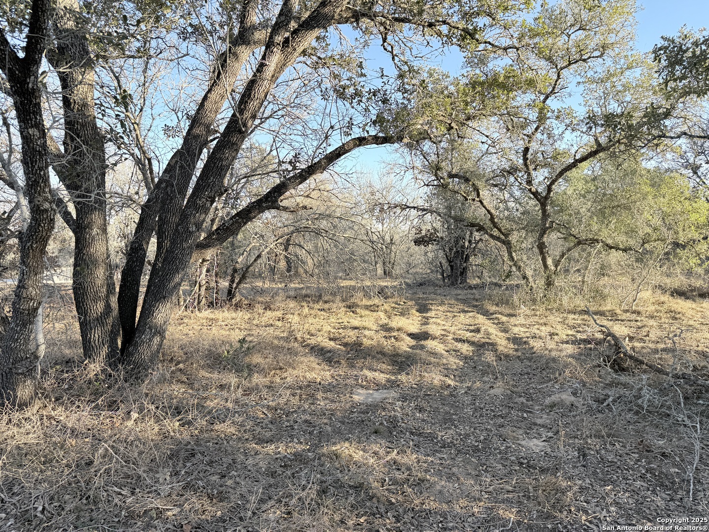 165 Sanctuary Lane (Tract 3)