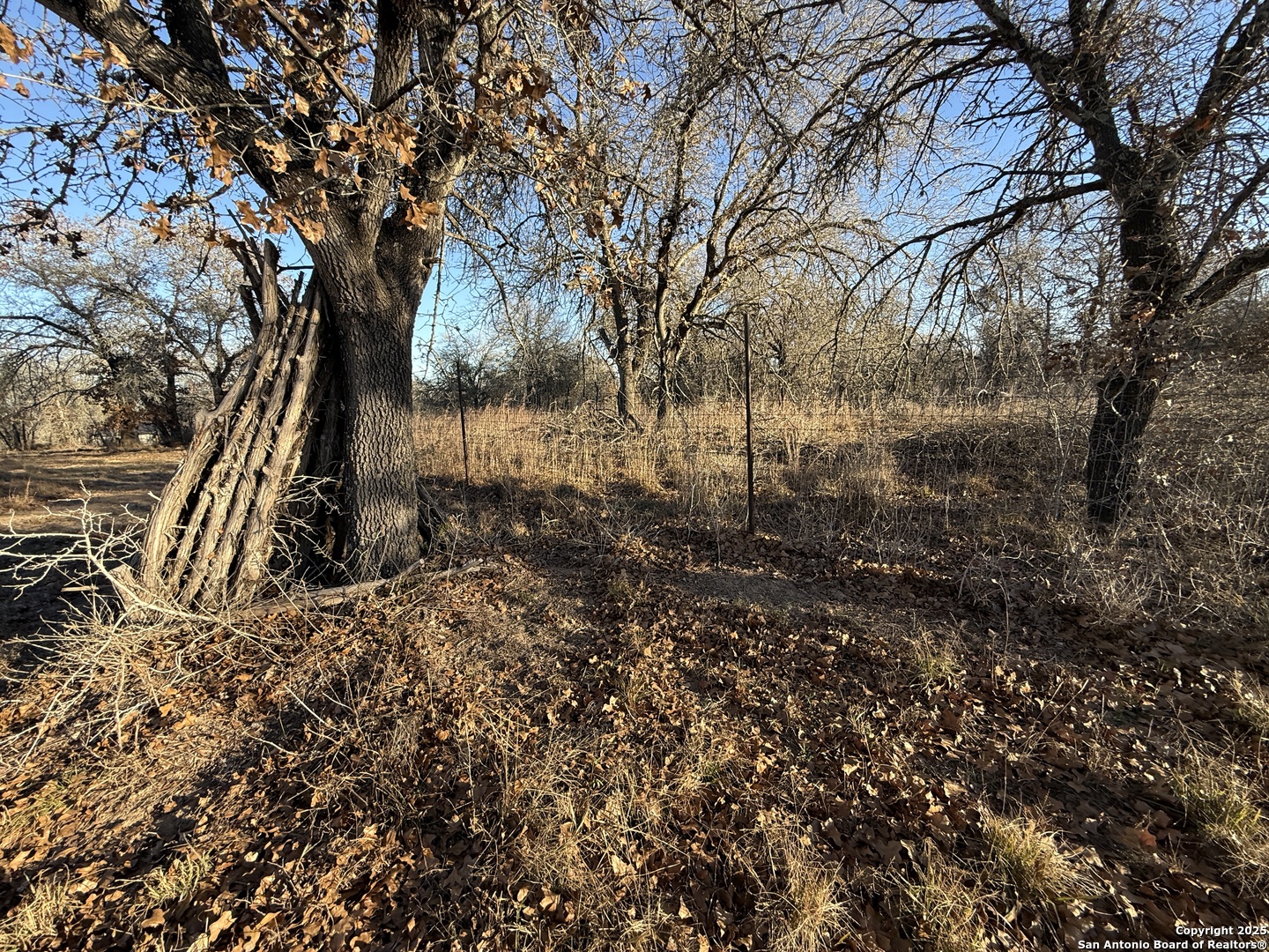 165 Sanctuary Lane (Tract 3)