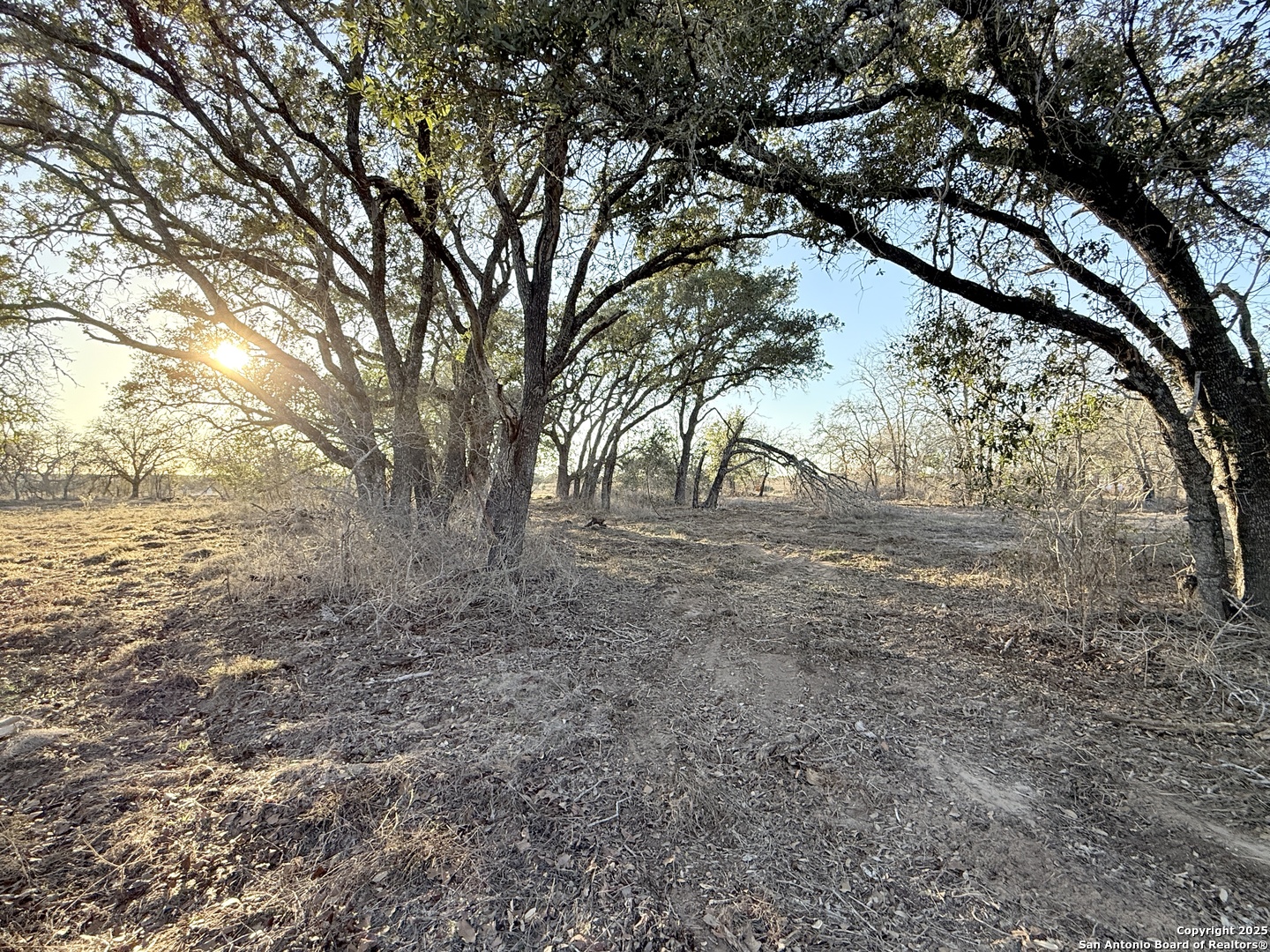 165 Sanctuary Lane (Tract 3)