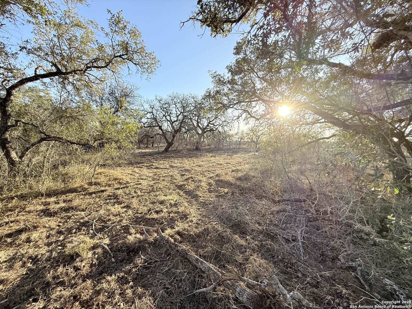 165 Sanctuary Lane (Tract 3)