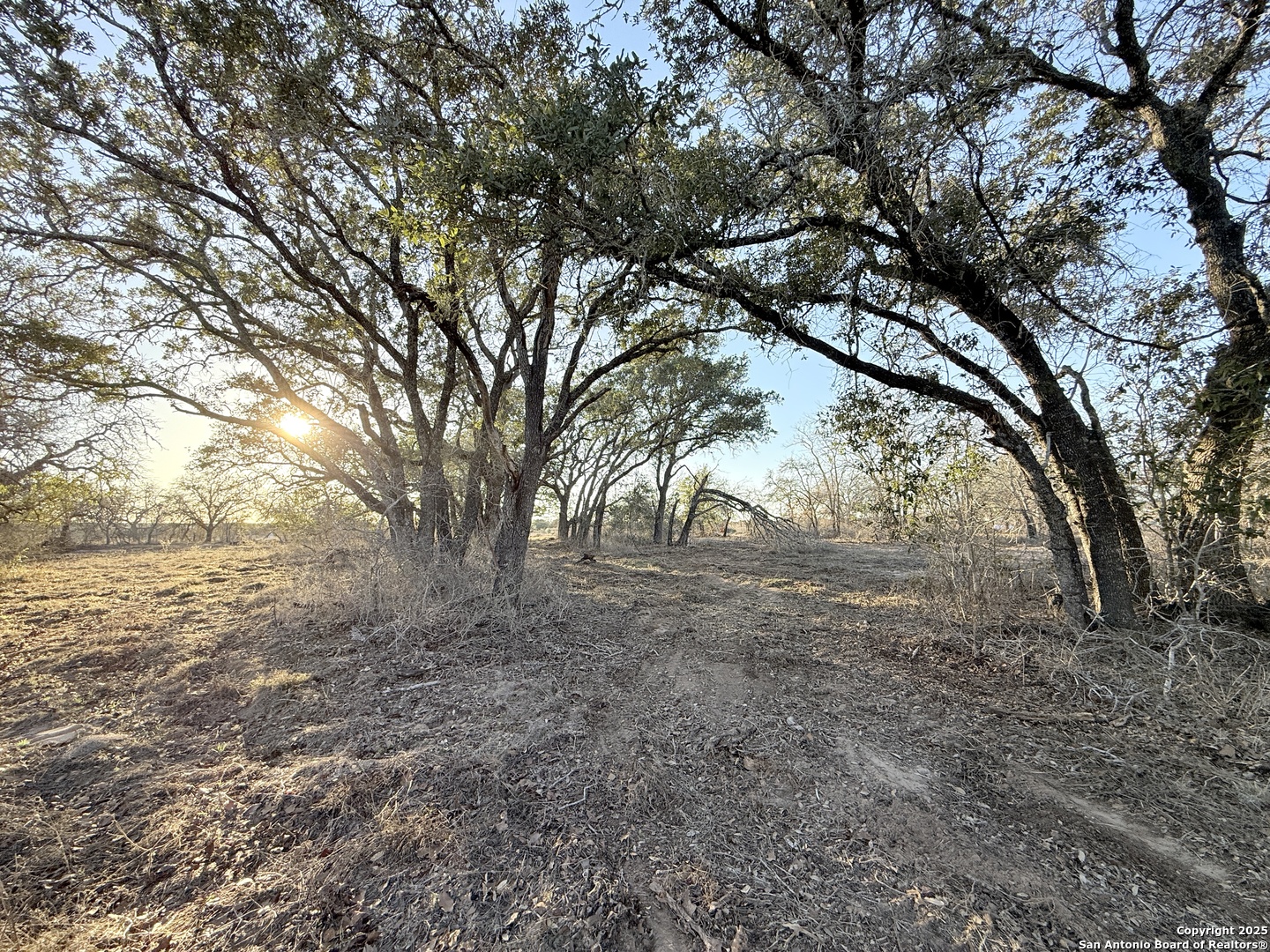 165 Sanctuary Lane (Tract 3)