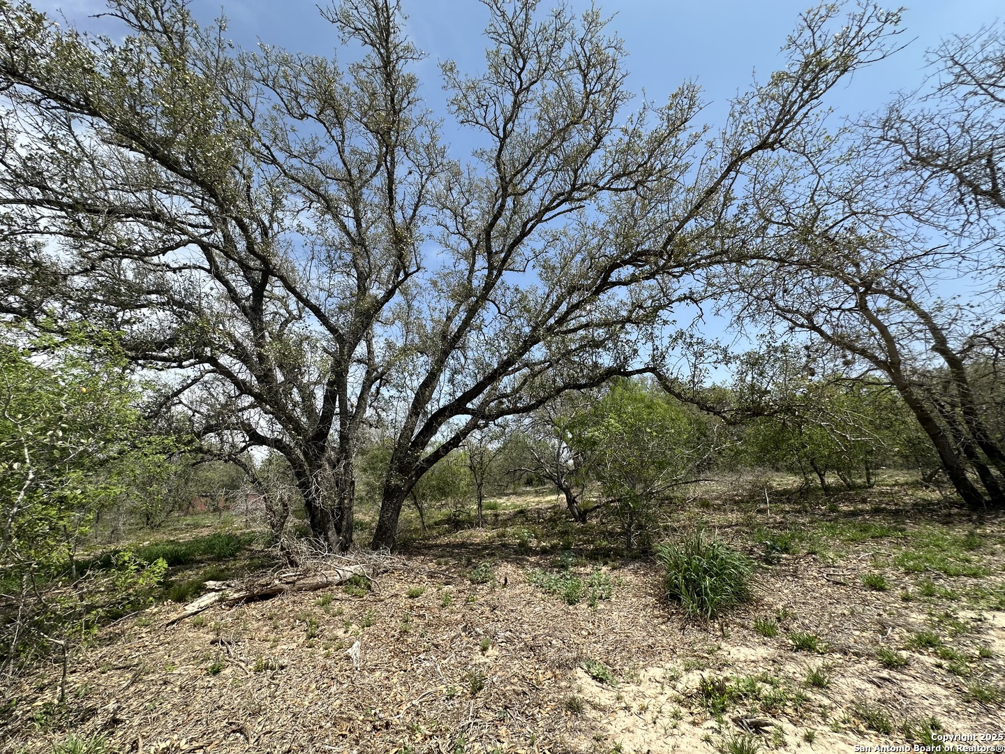 165 Sanctuary Lane (Tract 3)