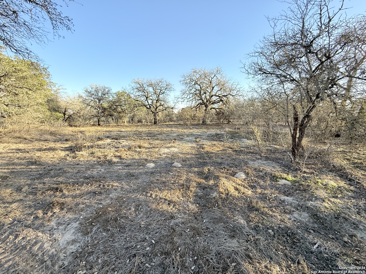 165 Sanctuary Lane (Tract 4)
