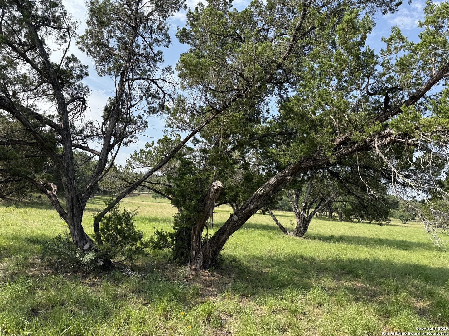 3.86 ACRES Remington