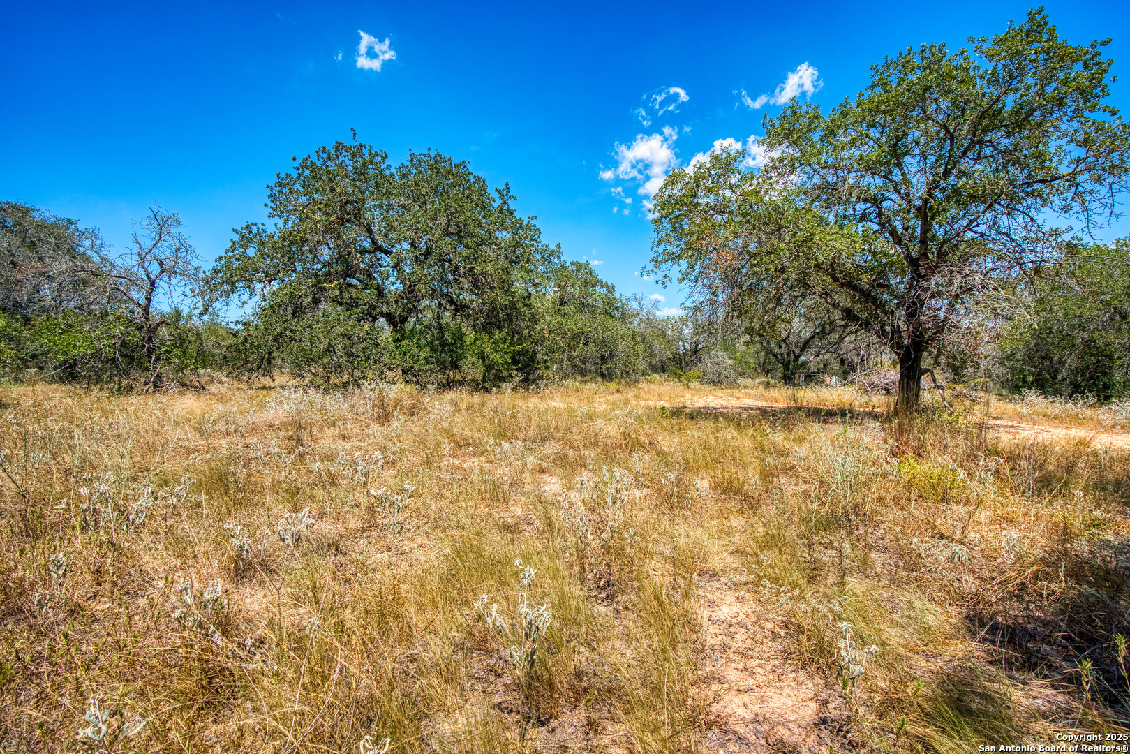 165 Sanctuary Lane #5