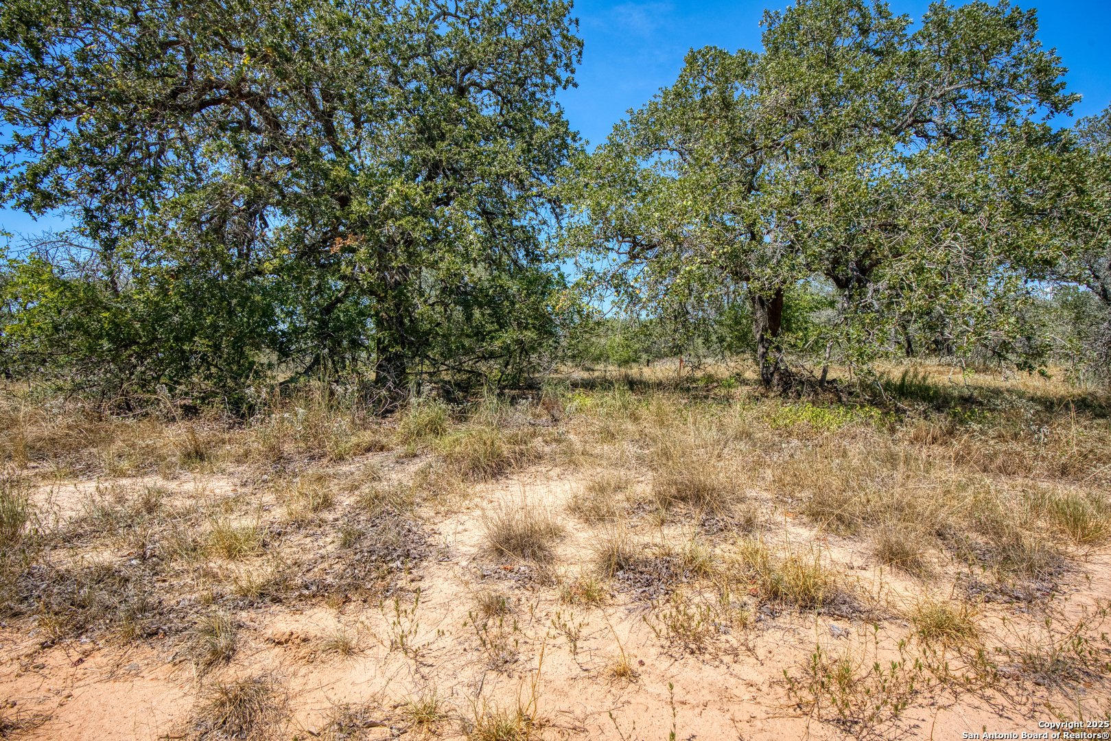 165 Sanctuary Lane #5