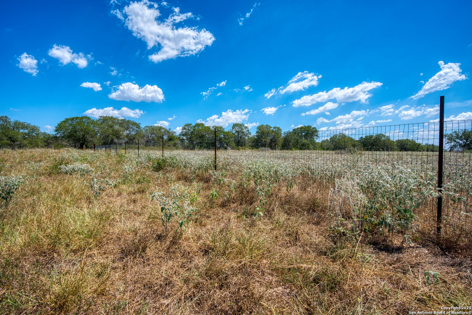 165 Sanctuary Lane #5