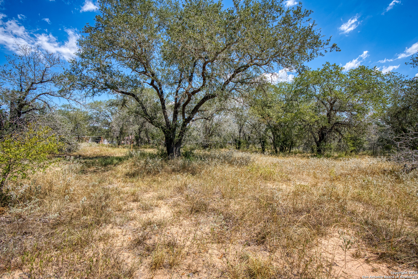 165 Sanctuary Lane #5