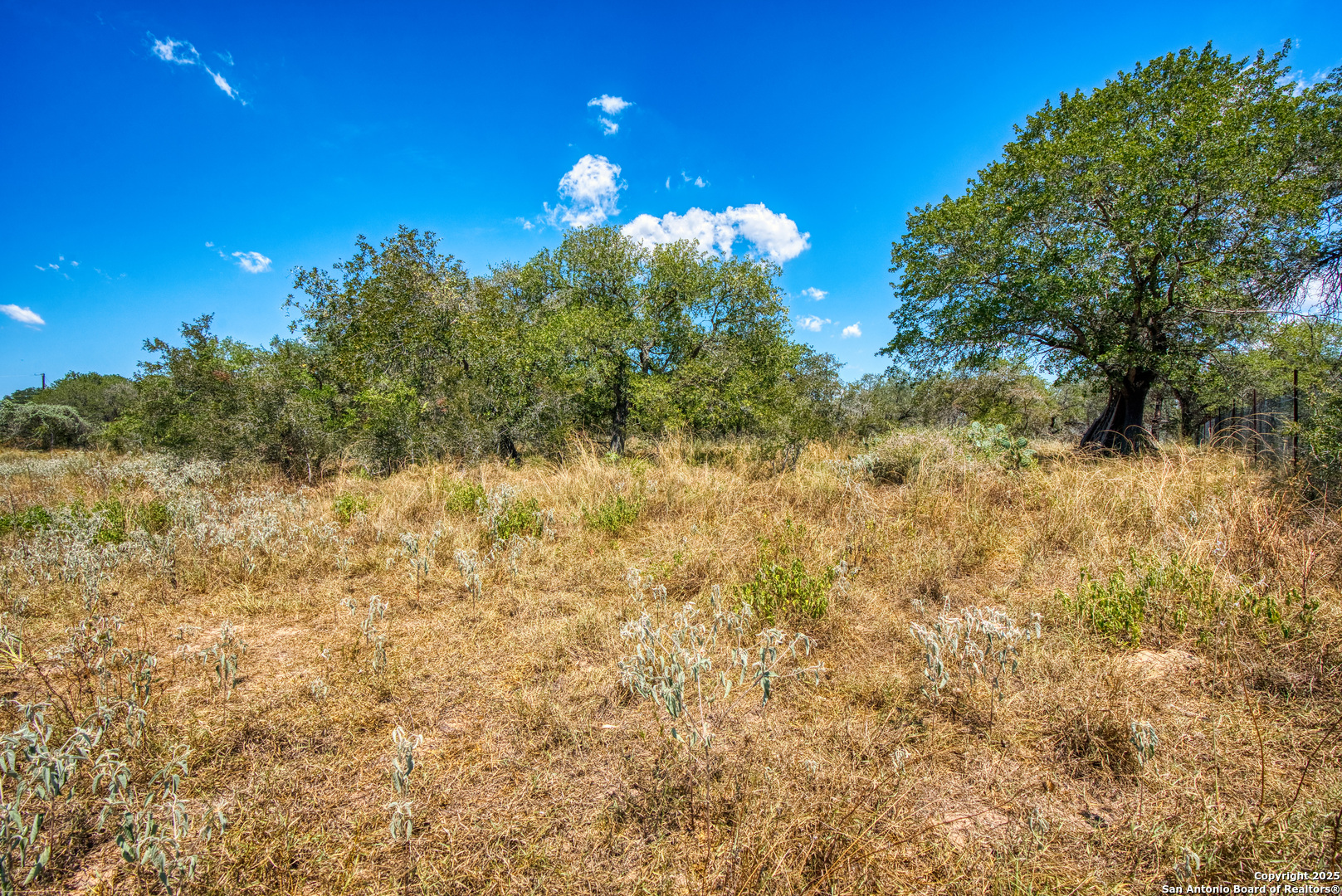 165 Sanctuary Lane #5