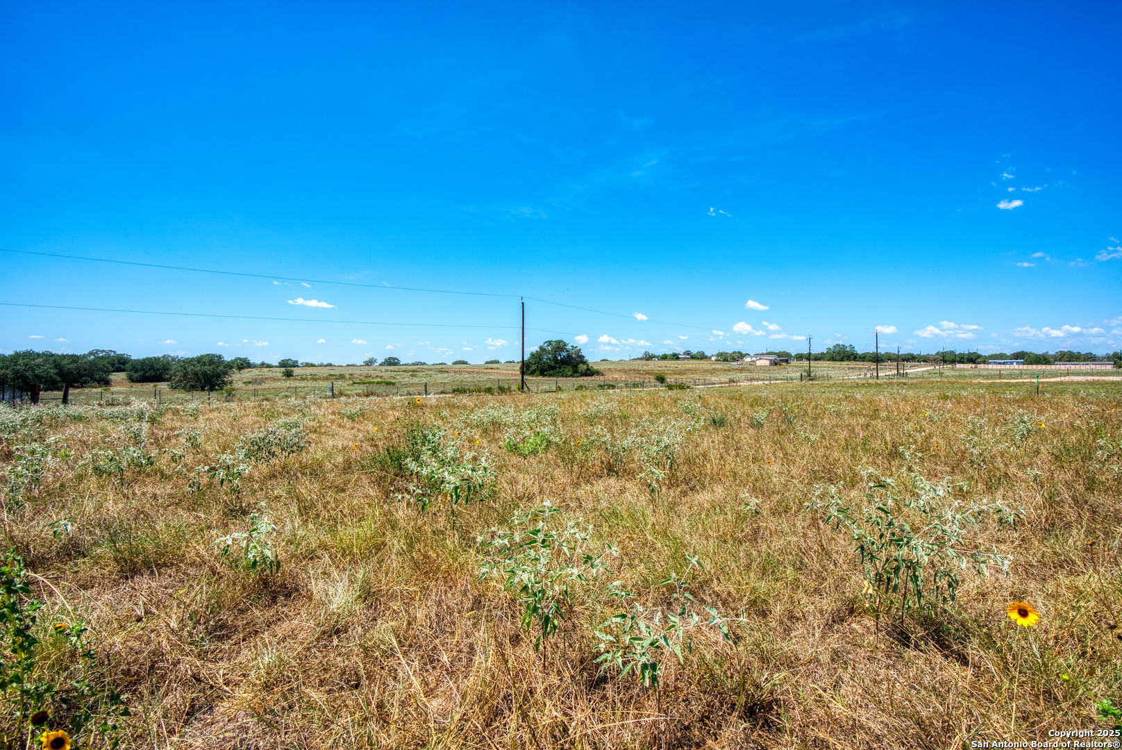 165 Sanctuary Lane #5