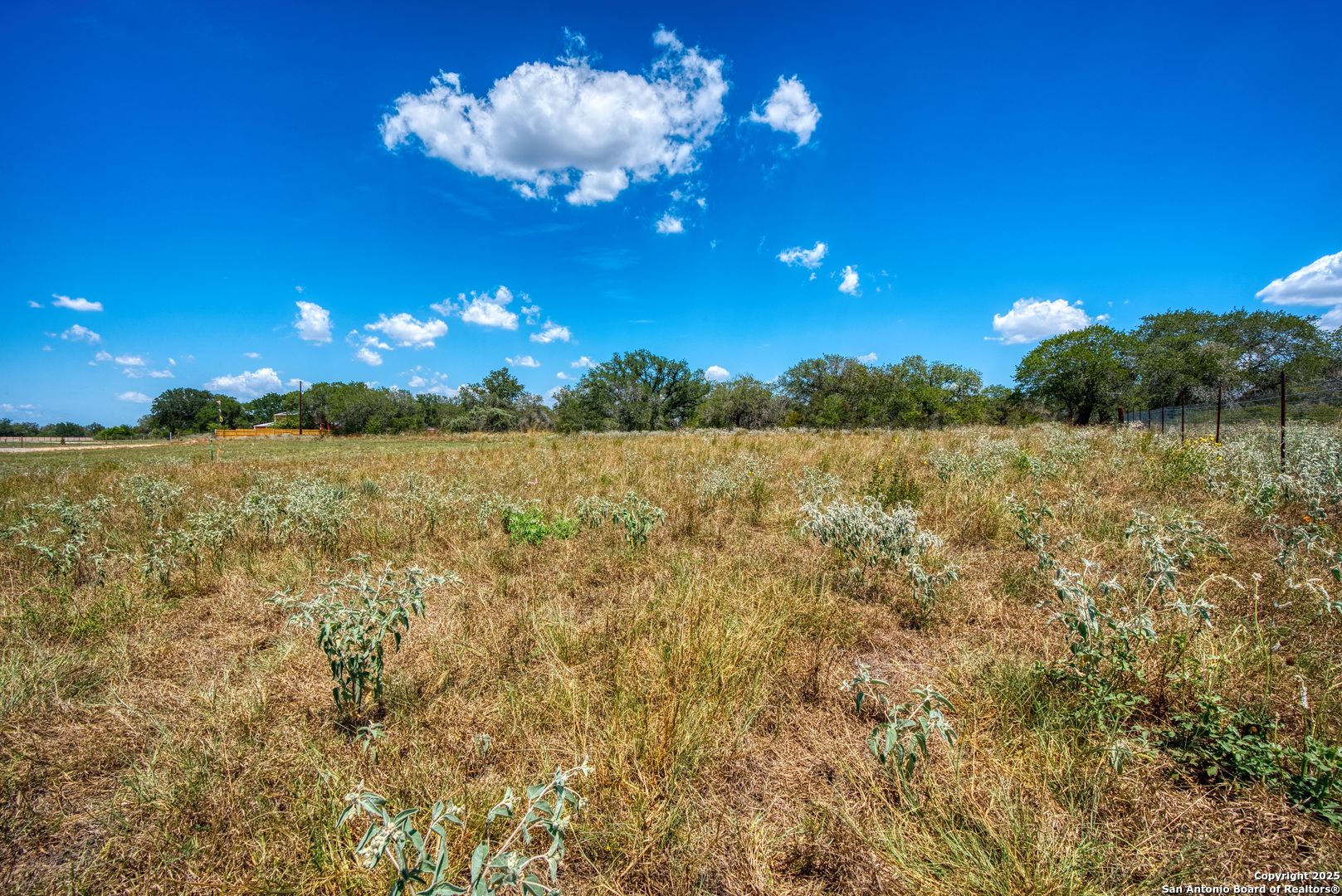 165 Sanctuary Lane #5