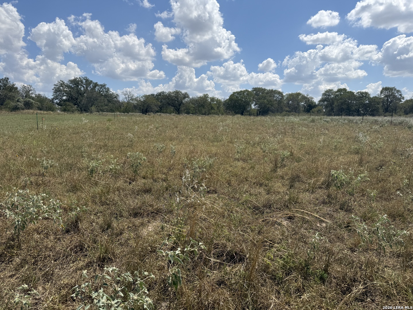 276 Sanctuary Lane #5