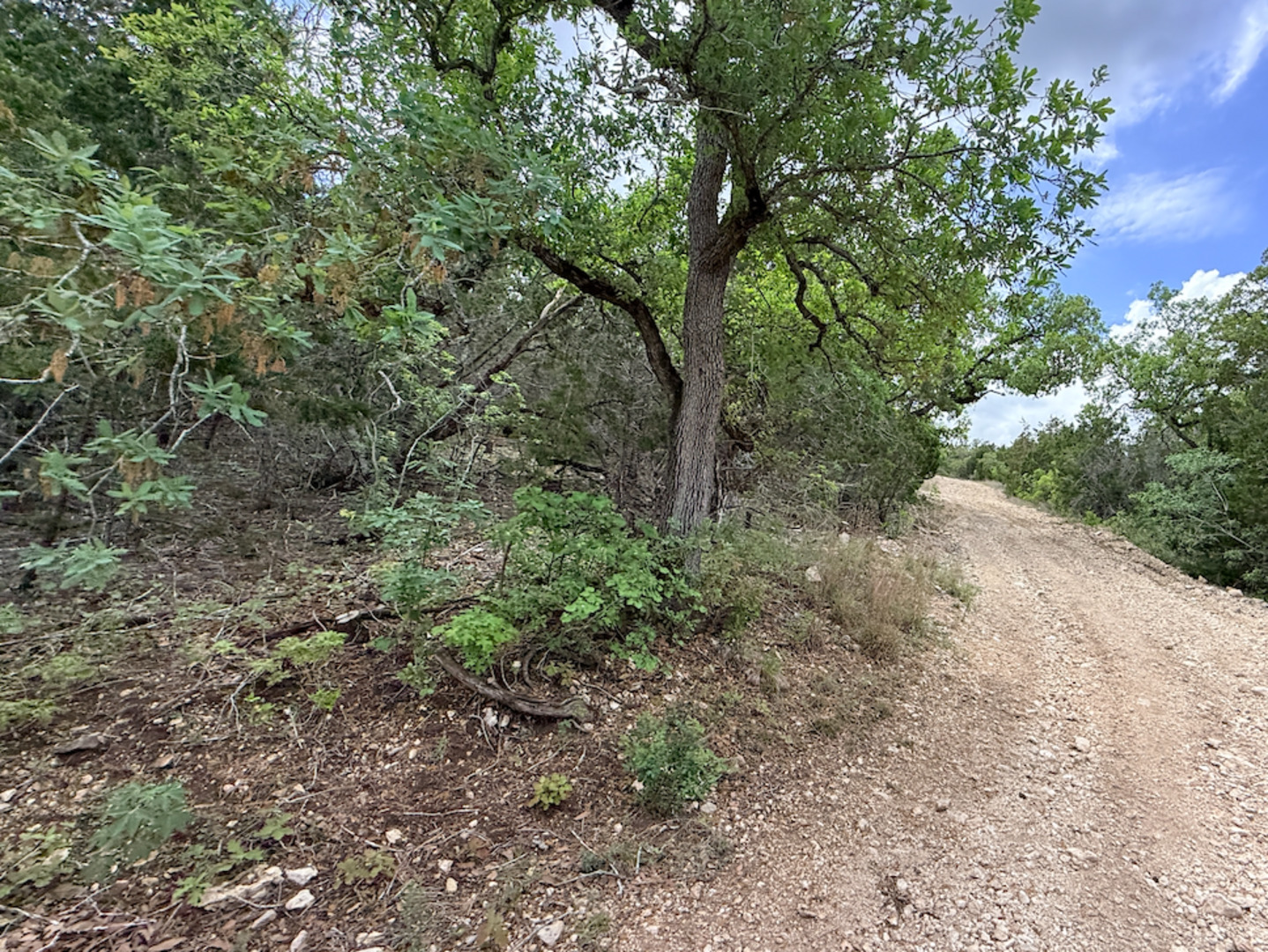 1865 TRACT 1 Park Road