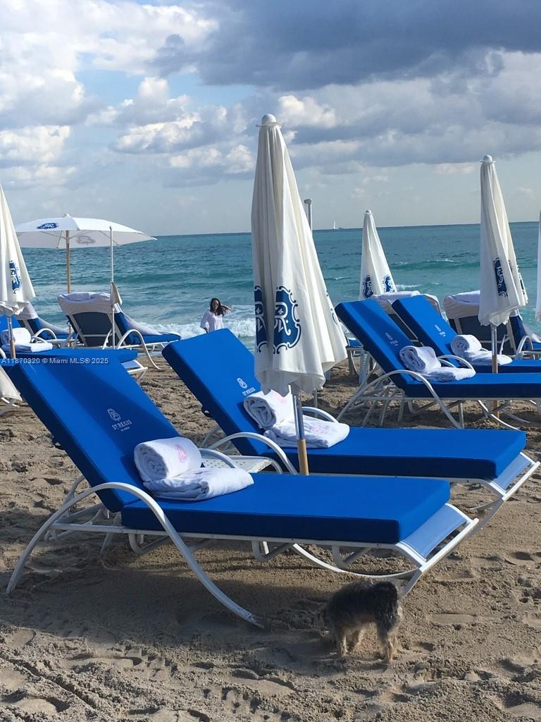 9705 Collins Ave # 1104N