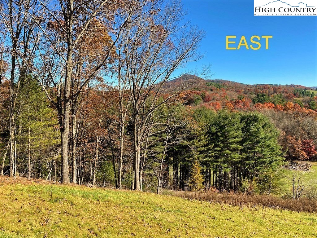 Lot 36 Crain Branch Lane