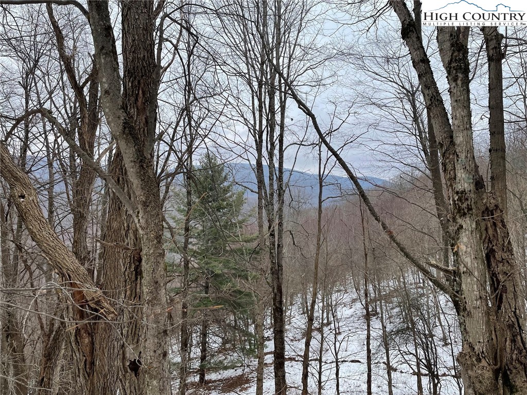 545 School House Road