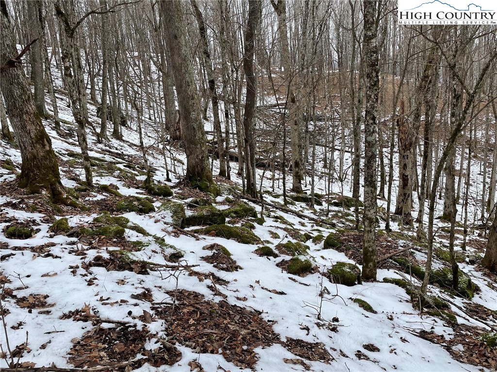 545 School House Road