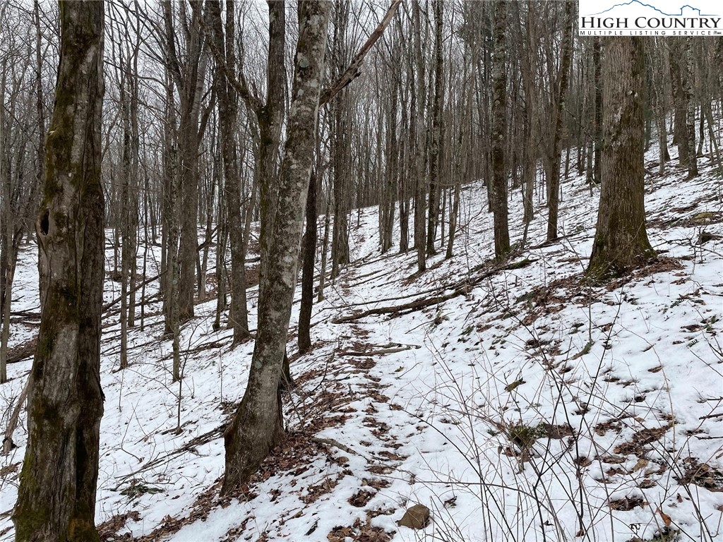 545 School House Road