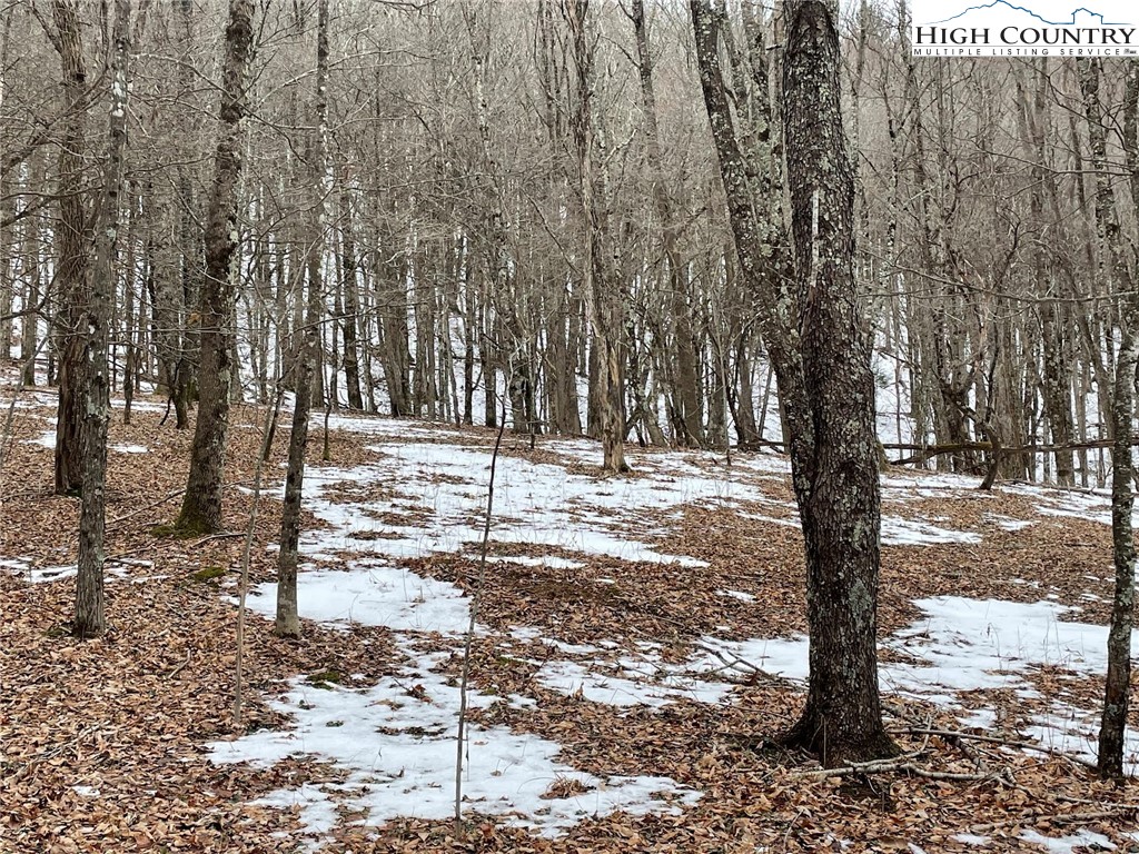 545 School House Road