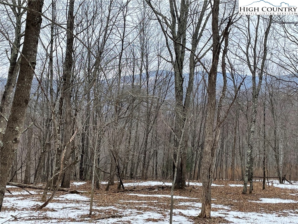 545 School House Road