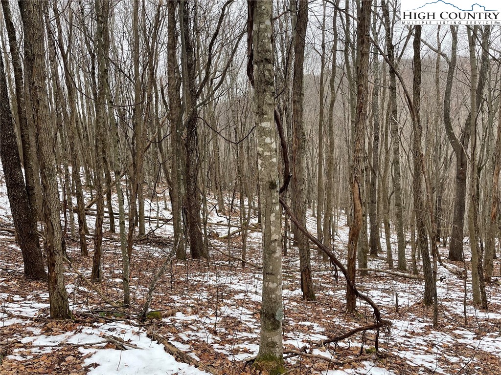 545 School House Road