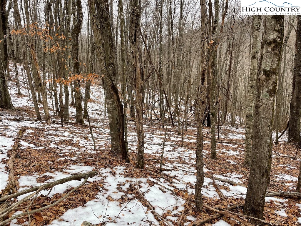 545 School House Road