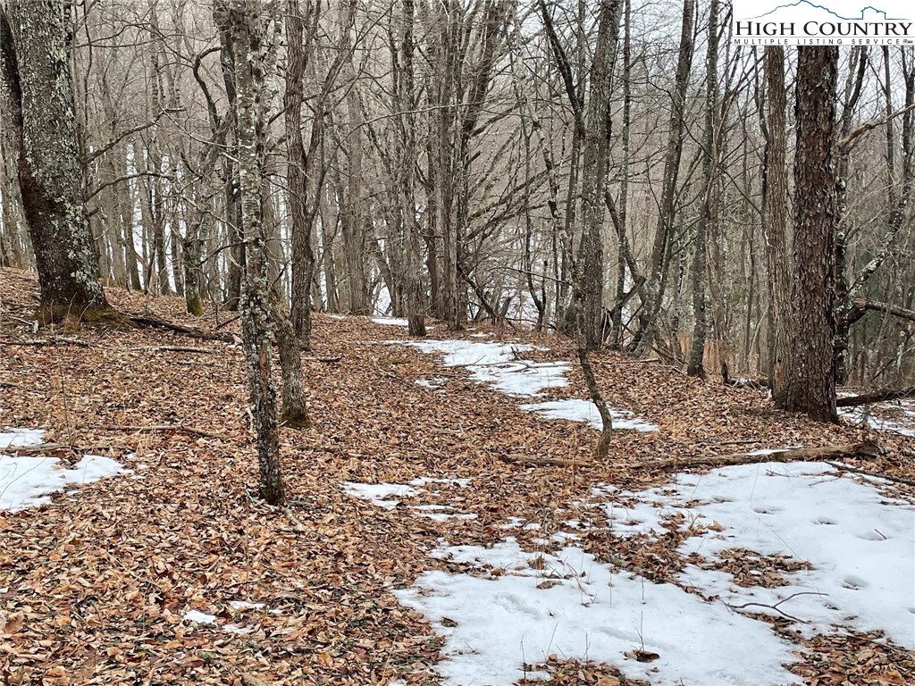 545 School House Road