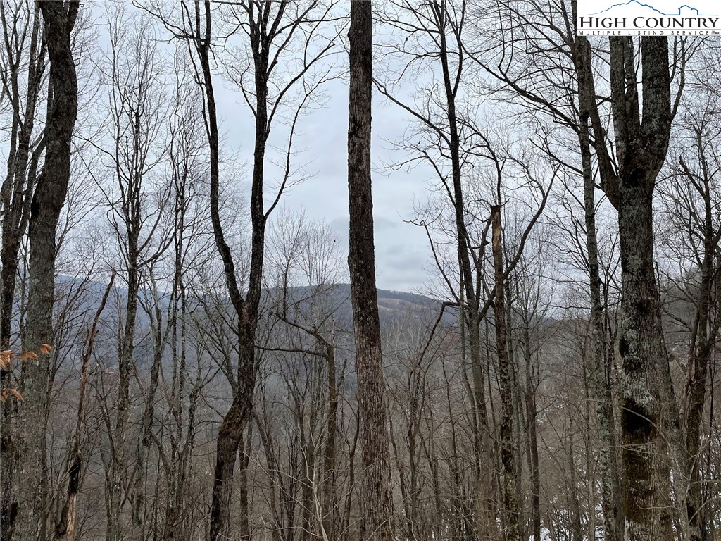 545 School House Road