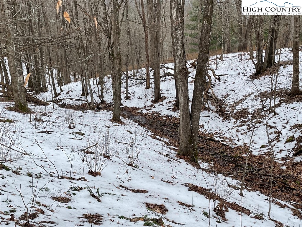 545 School House Road