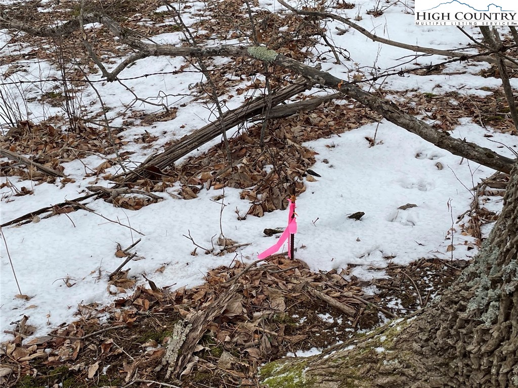 545 School House Road