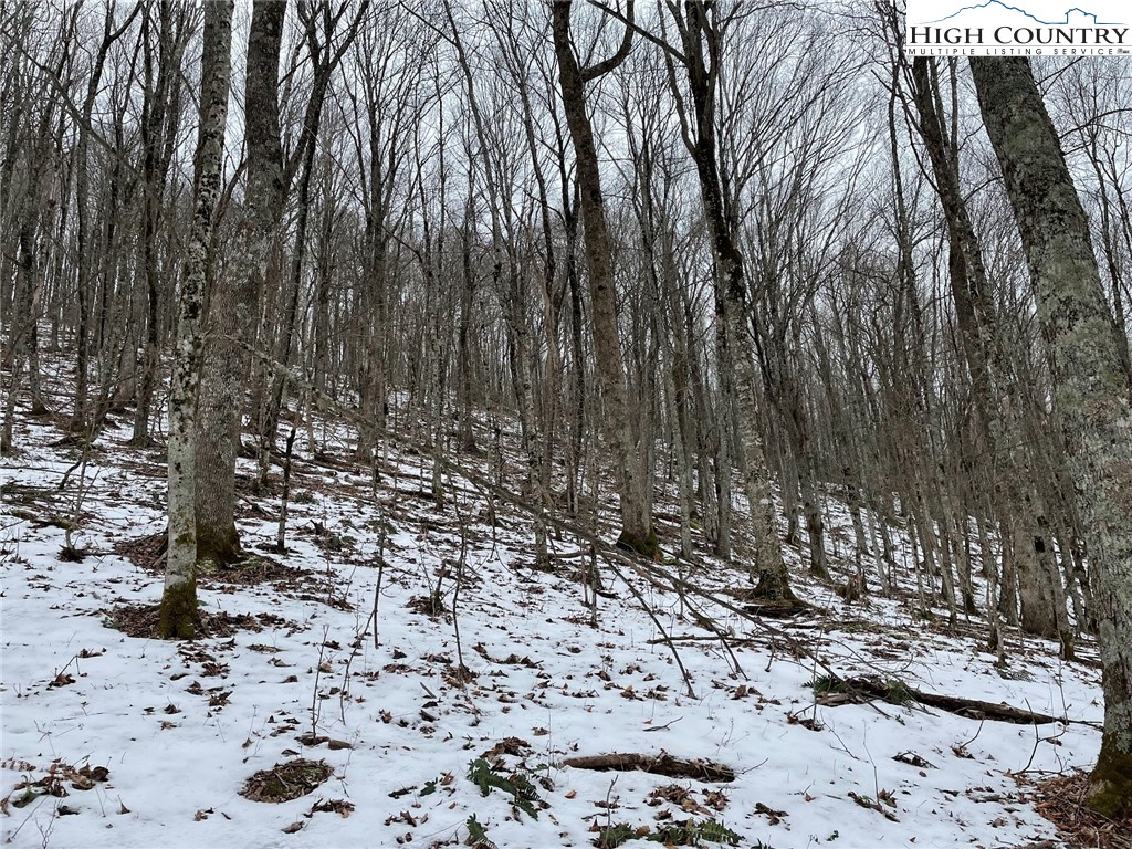 545 School House Road