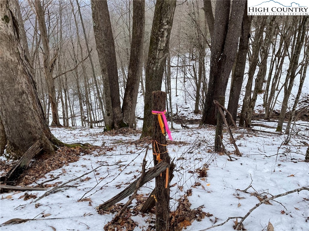 545 School House Road