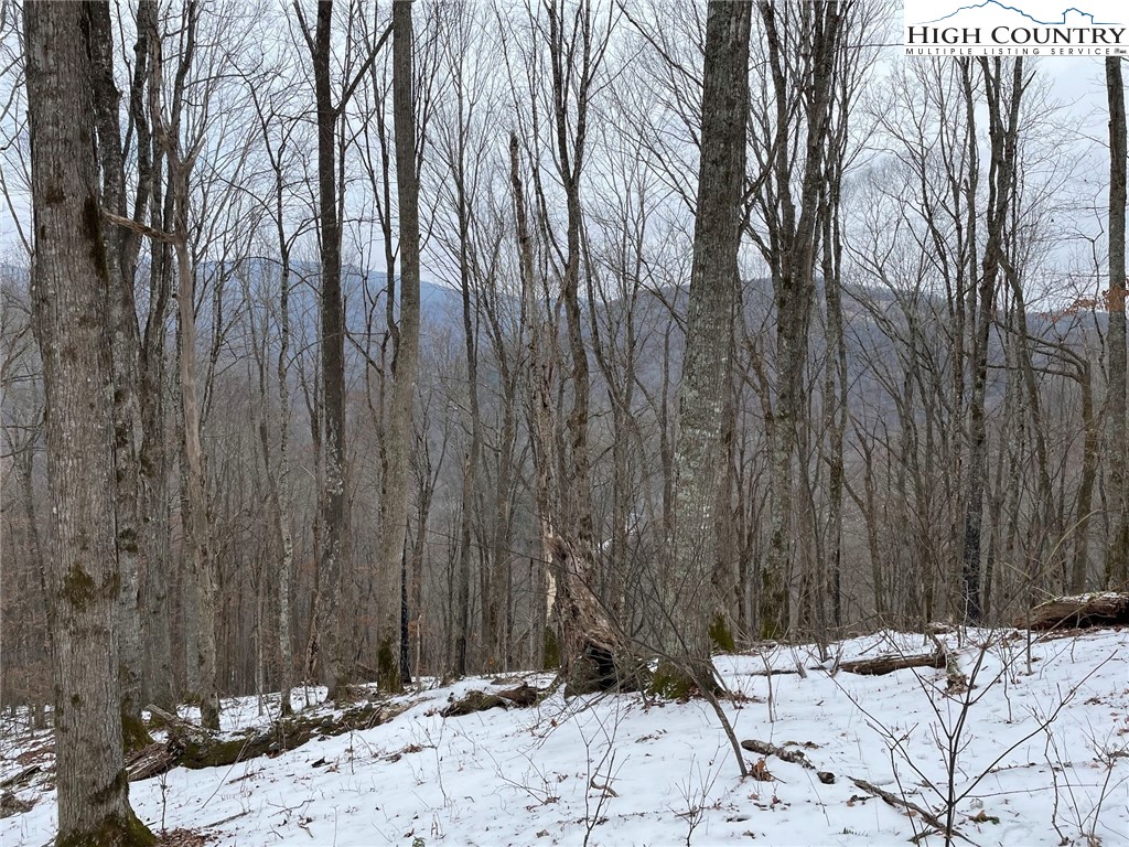 545 School House Road