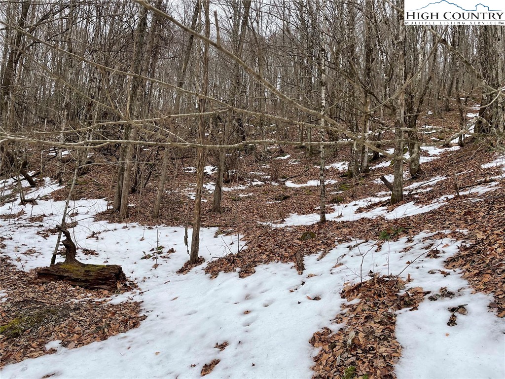 545 School House Road