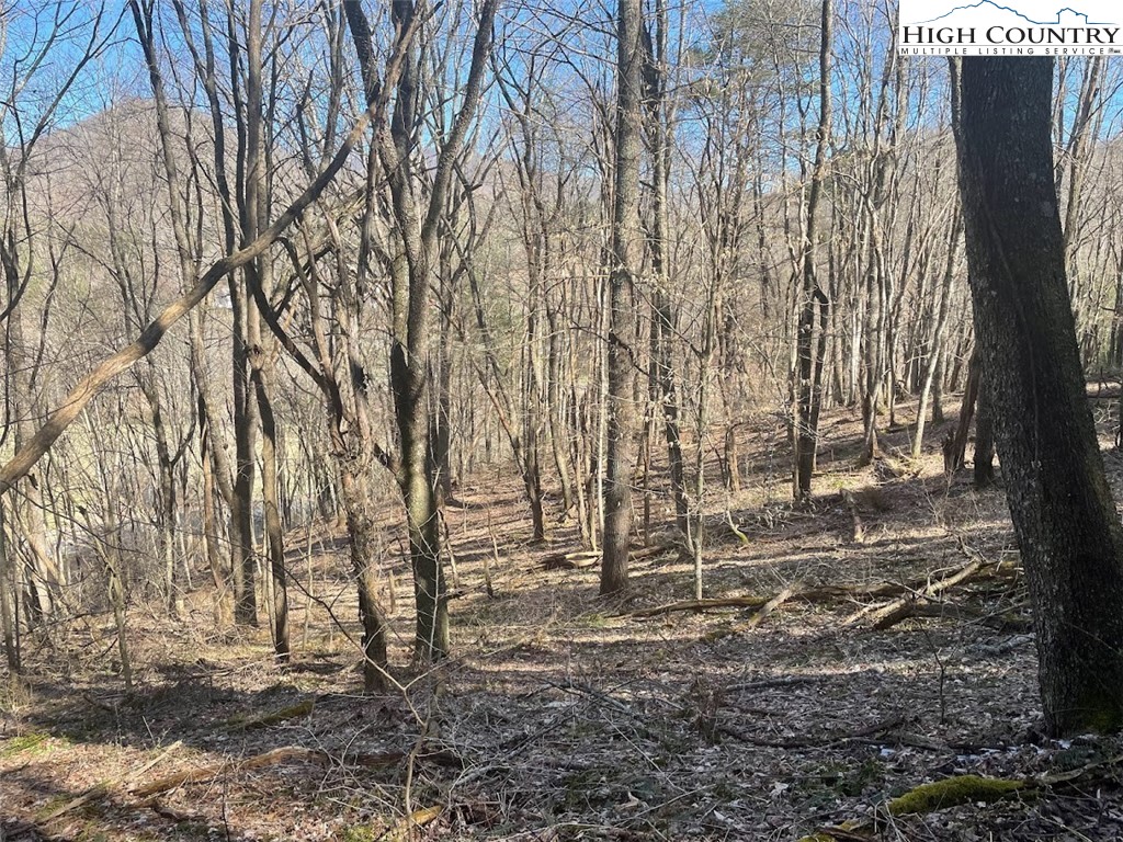 TBD Staggs Creek Road