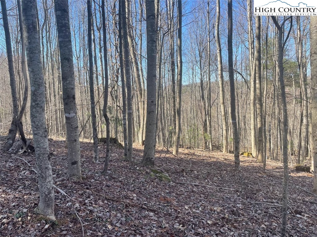 TBD Staggs Creek Road