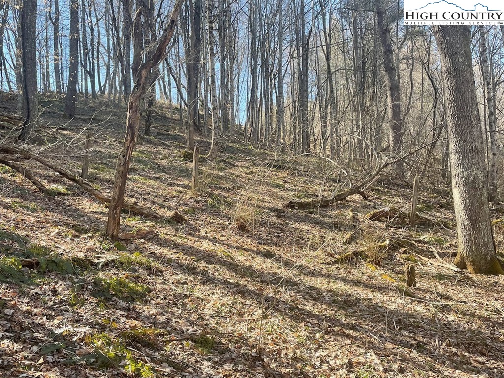 TBD Staggs Creek Road