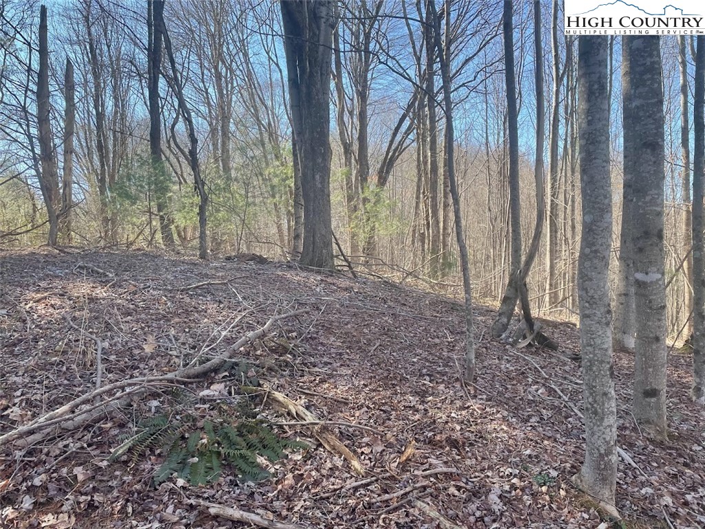 TBD Staggs Creek Road