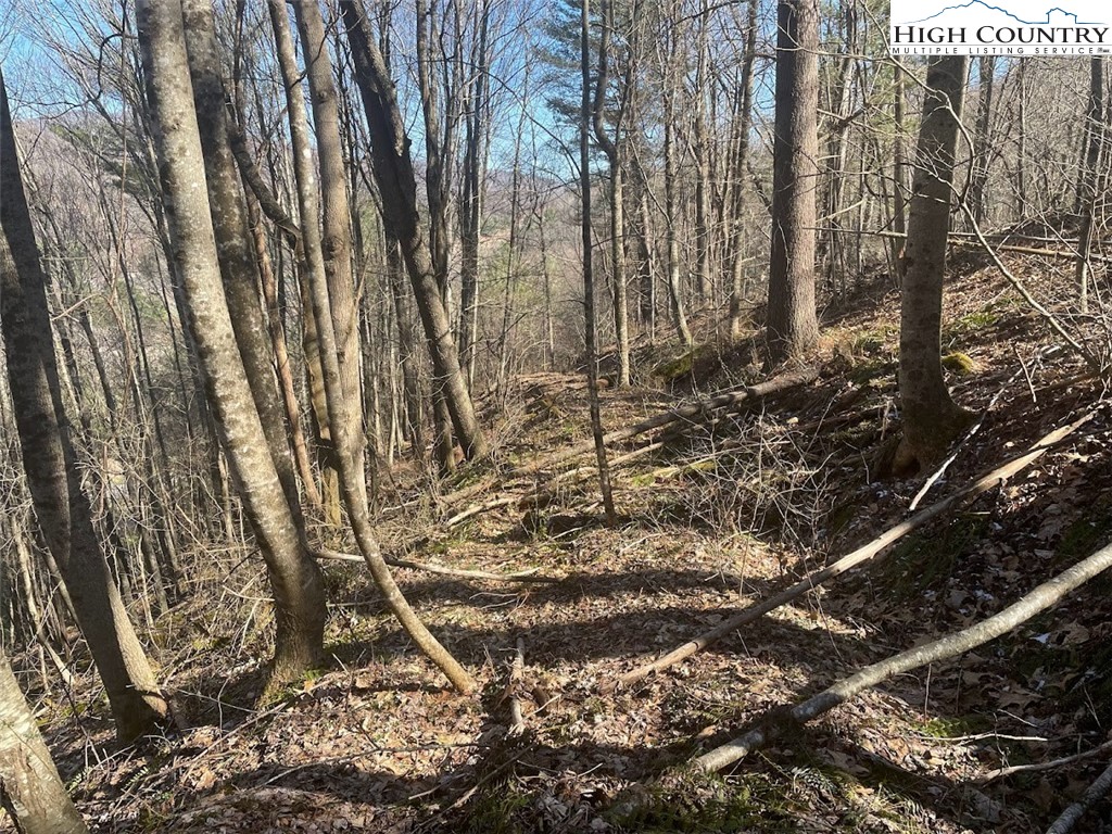 TBD Staggs Creek Road