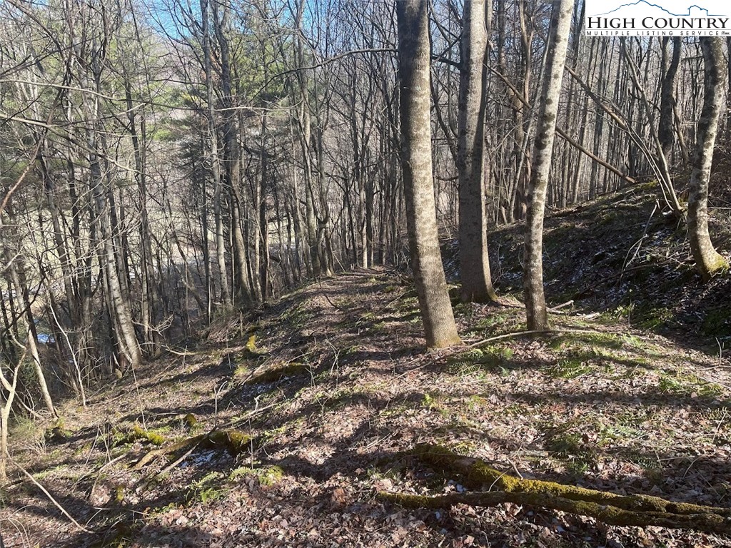 TBD Staggs Creek Road