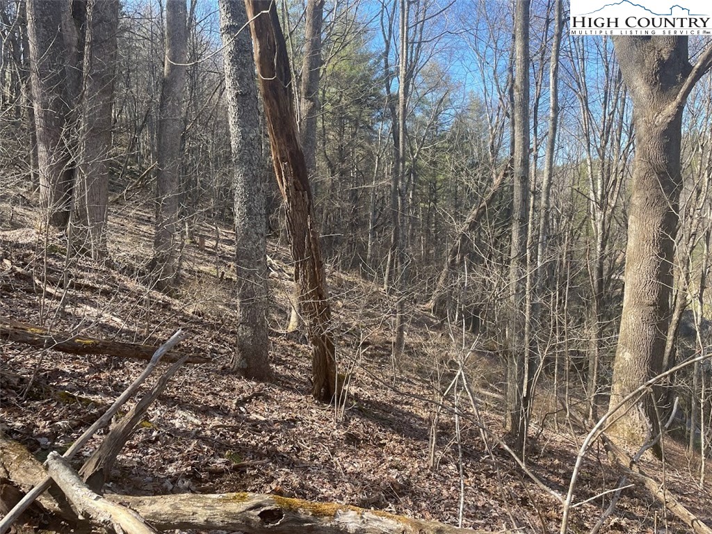 TBD Staggs Creek Road