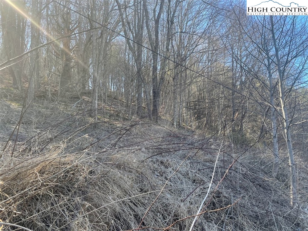 TBD Staggs Creek Road