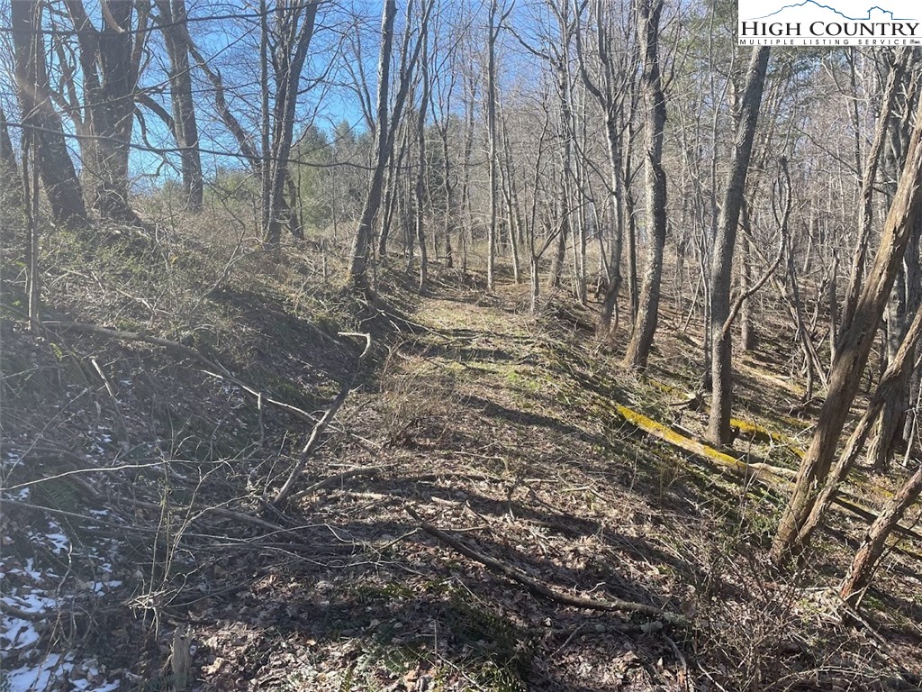 TBD Staggs Creek Road