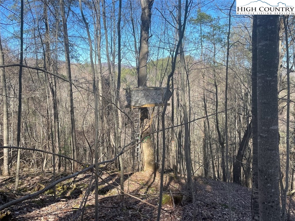 TBD Staggs Creek Road