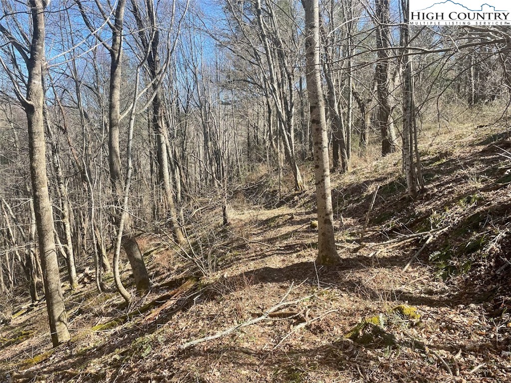 TBD Staggs Creek Road