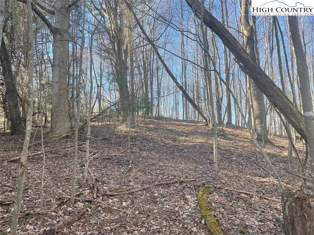 TBD Staggs Creek Road